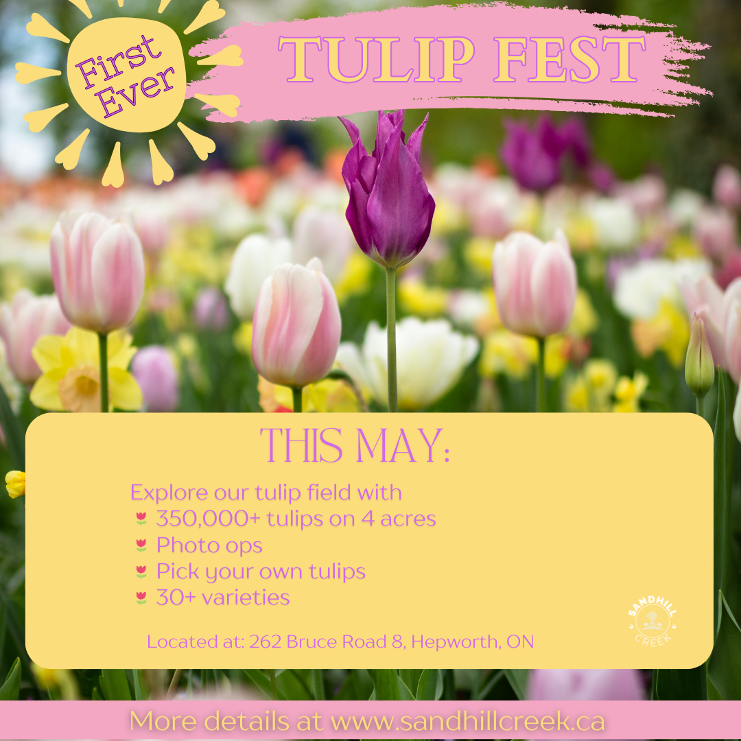 Event image Sandhill Creek Tulip Fest